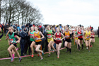 Intermediate girls 2019 New Balance English Schools Cross Country Champs, Temple Newsam, Leeds. Photo:  David T. Hewitson/Sports for All Pics